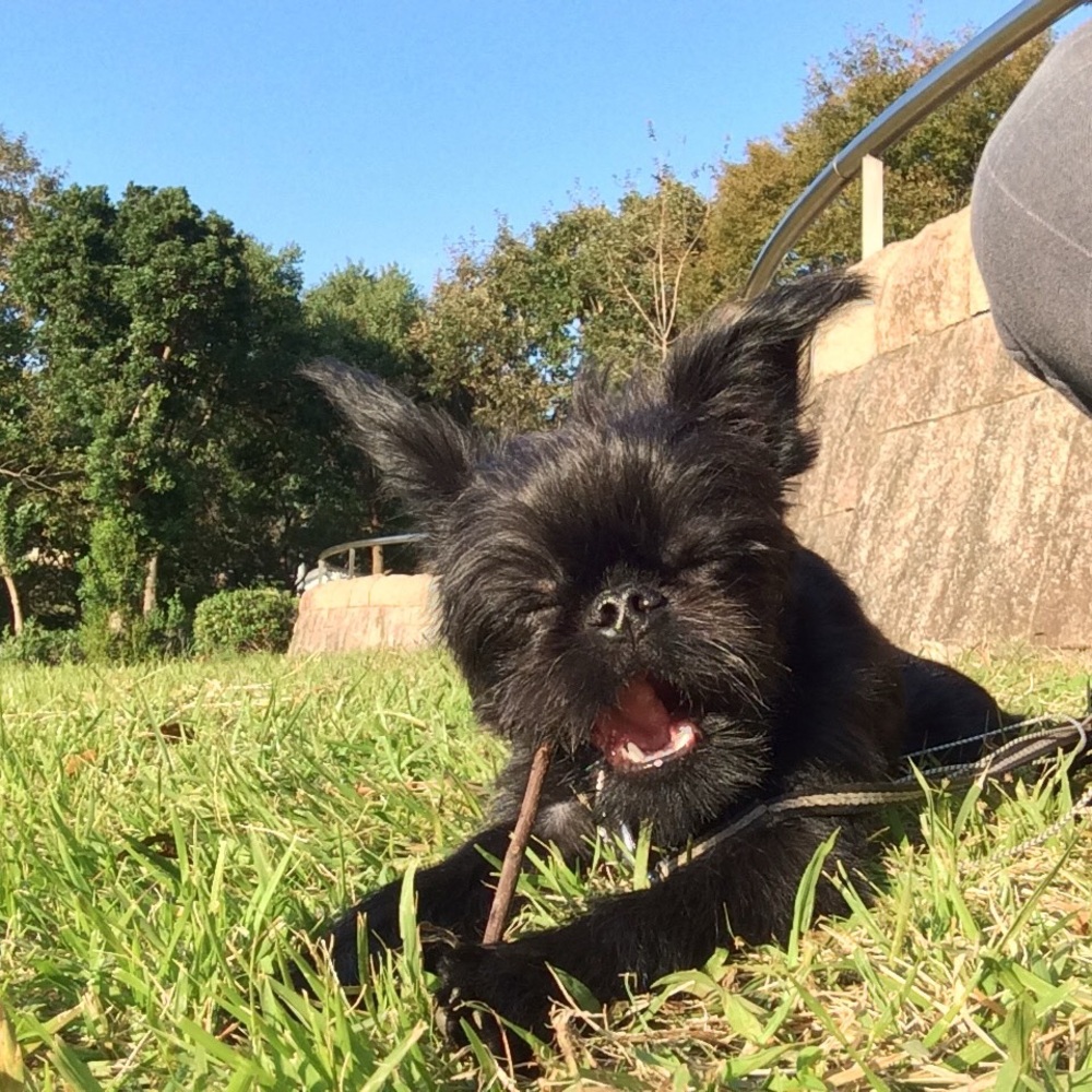 Meet your Posher, 大介